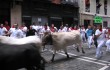 Toros y corredores del encierro al principio de la calle Estafeta / Bulls and runners in Estafeta street