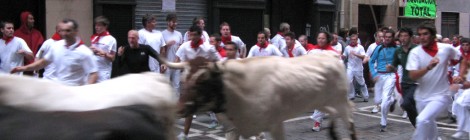 Toros y corredores del encierro al principio de la calle Estafeta / Bulls and runners in Estafeta street
