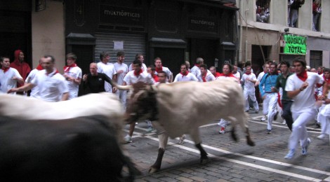 Toros y corredores del encierro al principio de la calle Estafeta / Bulls and runners in Estafeta street